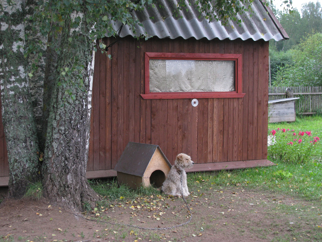 Дом (2)