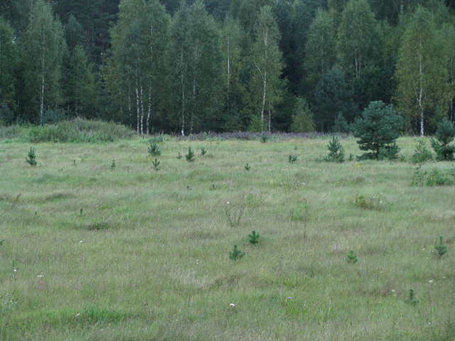 Дом (2)